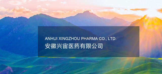 安徽兴宙医药有限公司