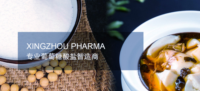 安徽兴宙医药有限公司