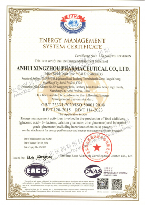 ISO5001能源管理体系认证证书_英文版