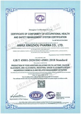 ISO45001 Occupational Health Management System Certification